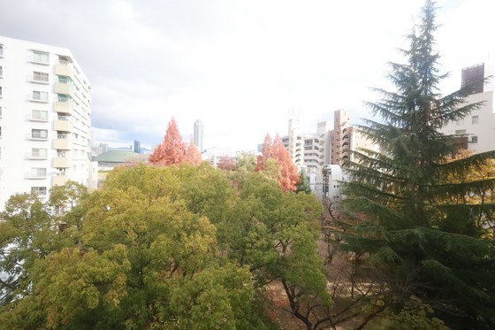 眺望　※別部屋の写真です