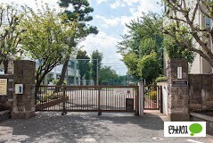 小学校　目黒区立油面小学校（小学校）まで515m