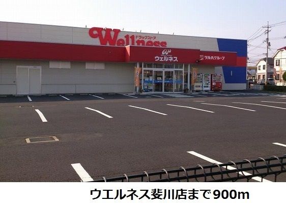 ドラックストア　ウエルネス斐川店（ドラッグストア）まで900m