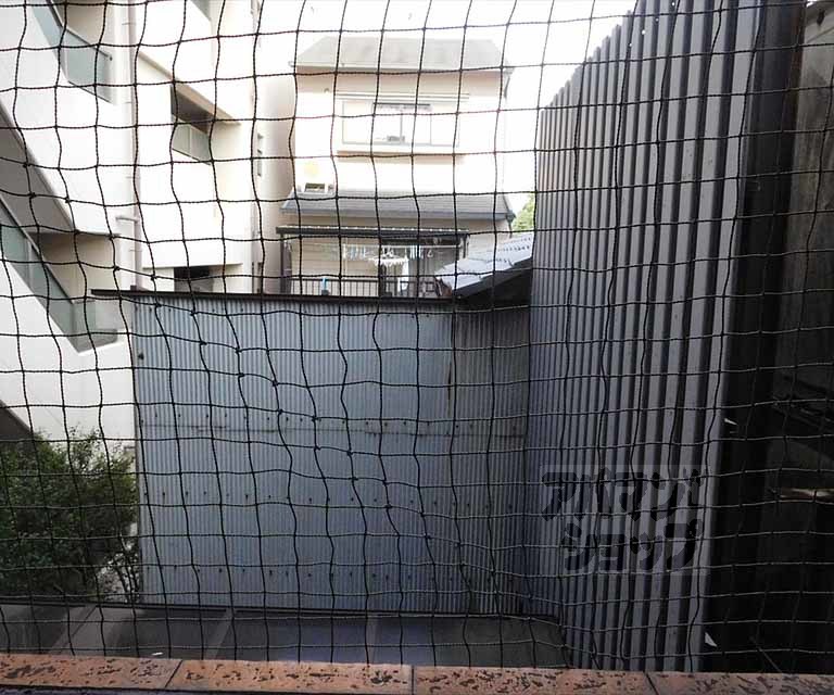 眺望　室外風景