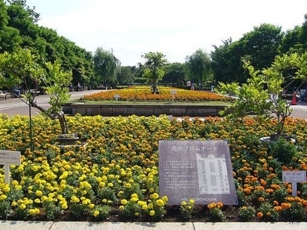 ドラックストア　ハックドラッグ鵠沼店（ドラッグストア）まで829m