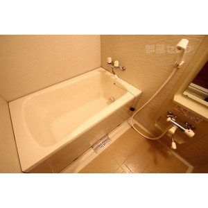 バス・シャワールーム　室内イメージです。