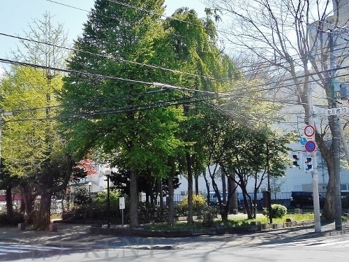 公園　宮部記念緑地（公園）まで354m