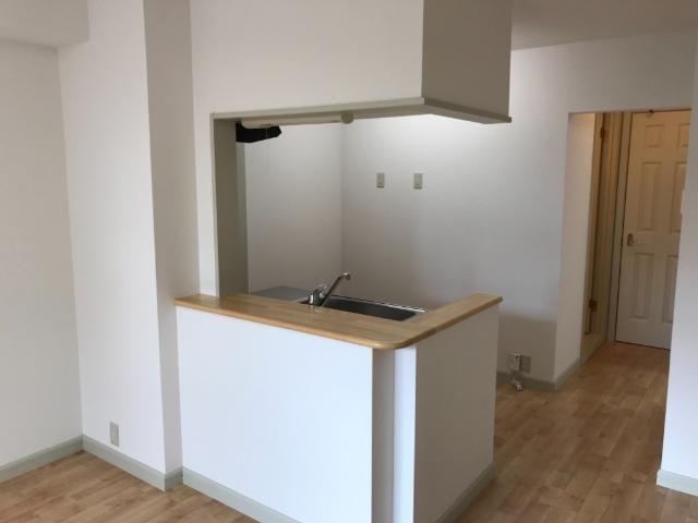 その他部屋・スペース　カウンターキッチン