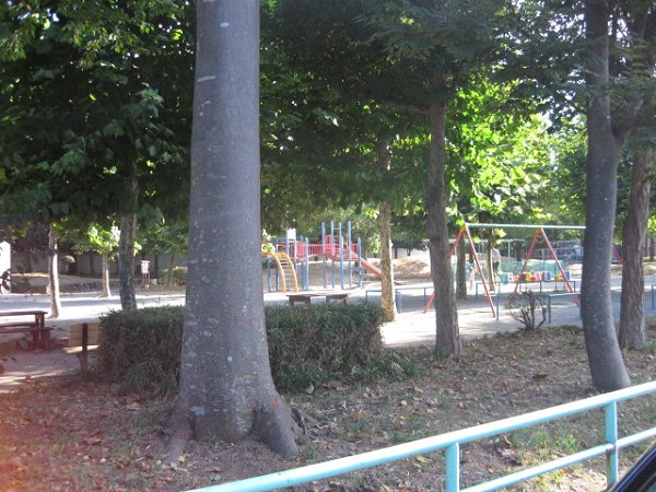 公園　水元中央公園（公園）まで236m