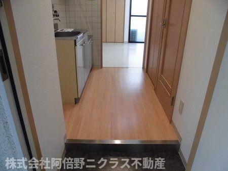 玄関　内装は別部屋の参考写真です。