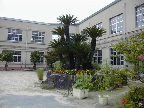 小学校　石切小学校（小学校）まで677m