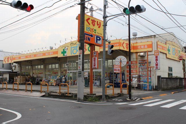 ドラックストア　どらっぐぱぱす下丸子店（ドラッグストア）まで291m