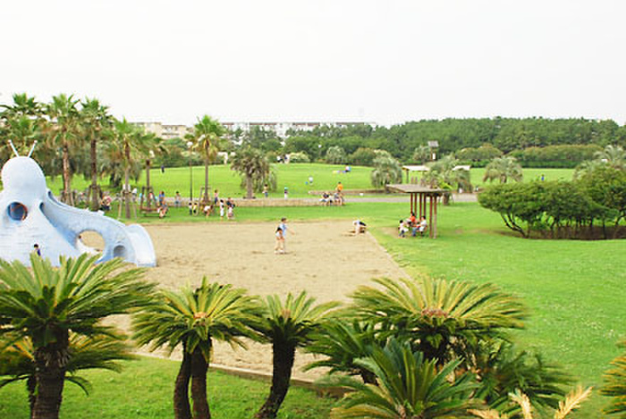 公園　辻堂海浜公園（公園）まで1100m
