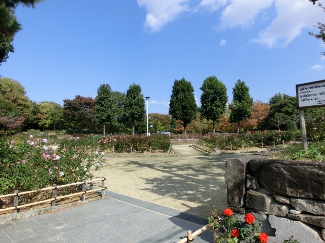 公園　大井戸公園（公園）まで769m