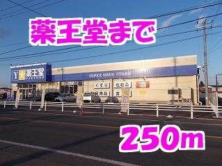 ドラックストア　薬王堂（ドラッグストア）まで250m
