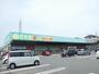 ドラックストア　杏林堂薬局　西貝塚店（ドラッグストア）まで1017m