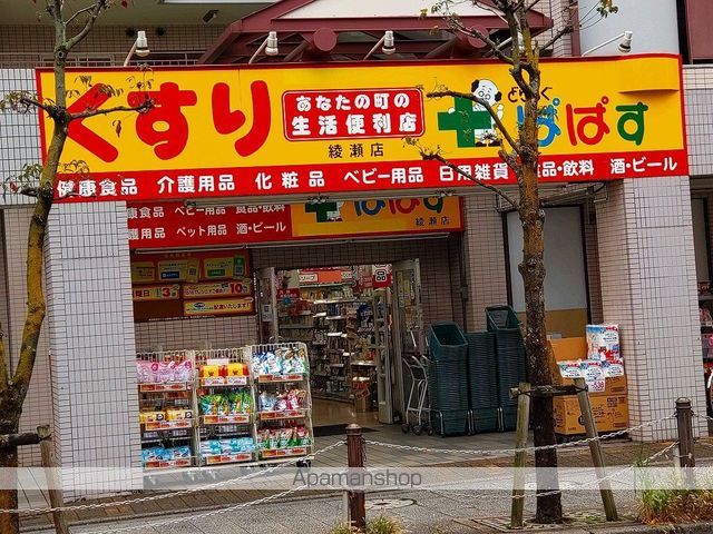 ドラックストア　どらっぐぱぱす綾瀬店（ドラッグストア）まで243m