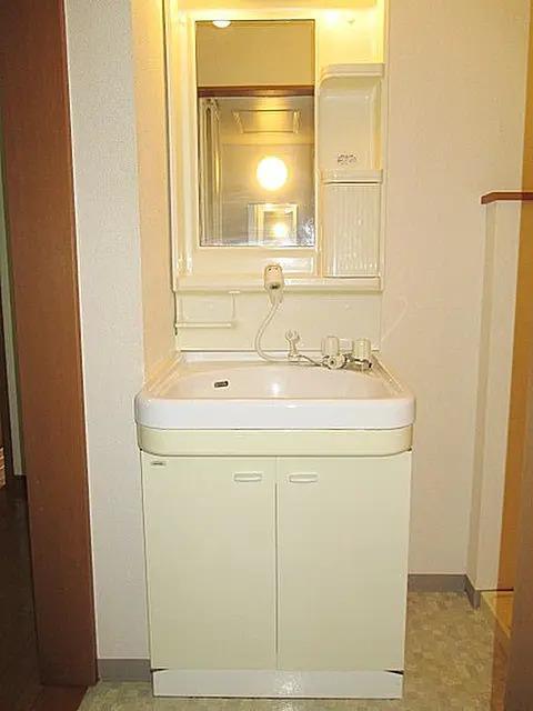 洗面設備　独立洗面台付きです(別部屋参考写真)
