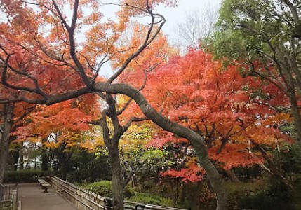 公園　蘇峰公園（公園）まで376m