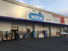 ドラックストア　ウェルシア三ケ日店（ドラッグストア）まで413m