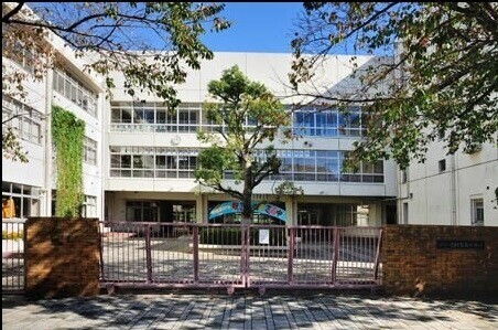 小学校　板橋区立志村第五小学校（小学校）まで733m