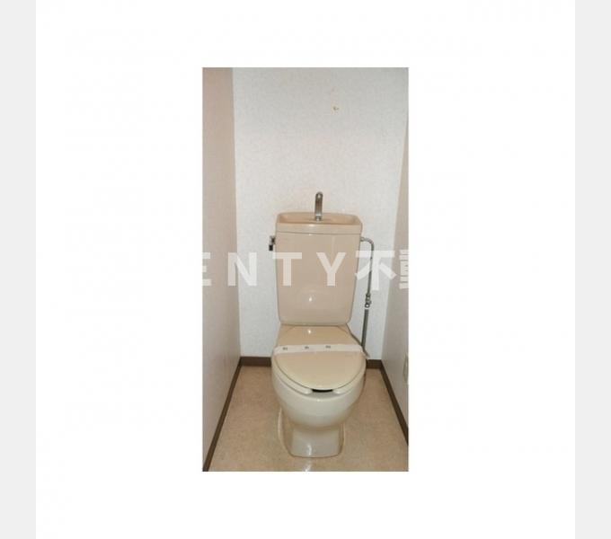 トイレ　トイレも気になるポイント