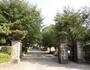 中学校　熊本市立白川中学校（中学校）まで280m