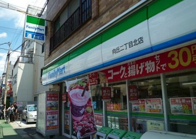 コンビニ　ファミリーマート向丘二丁目北店（コンビニ）まで778m