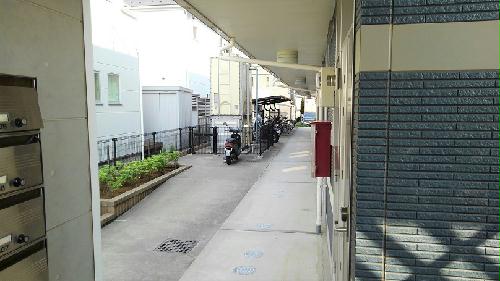 その他共有部分　1階共有廊下