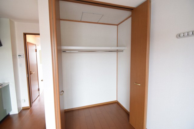 収納　大きな  ー
