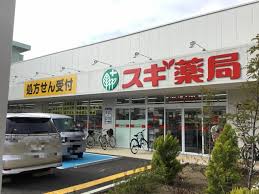 日暮里・舎人ライナー 西新井大師西駅 徒歩2分 10階建 築8年の周辺写真