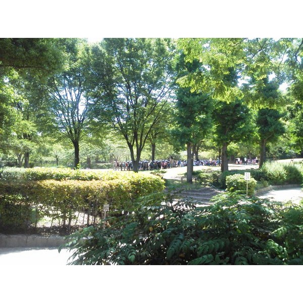 公園　上坂部西公園（公園）まで641m