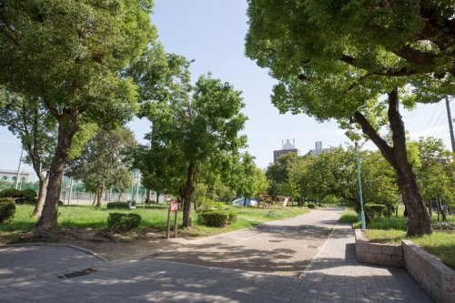 公園　真田山公園（公園）まで393m