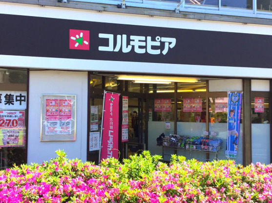 ショッピングセンター　コルモピア野沢店（ショッピングセンター）まで849m
