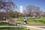 公園　大仙公園（公園）まで1919m