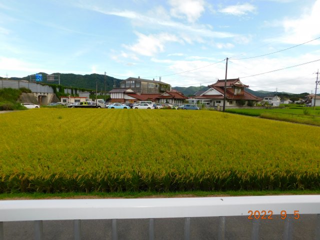 メゾン坪内のその他写真