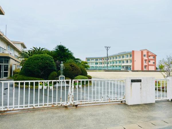 Piccolo Casa 大島の周辺写真