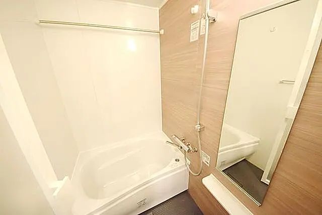 ルフォンプログレ清澄白河プレミアの風呂写真