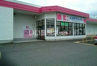 【紀の川市桃山町最上のマンションのドラックストア】