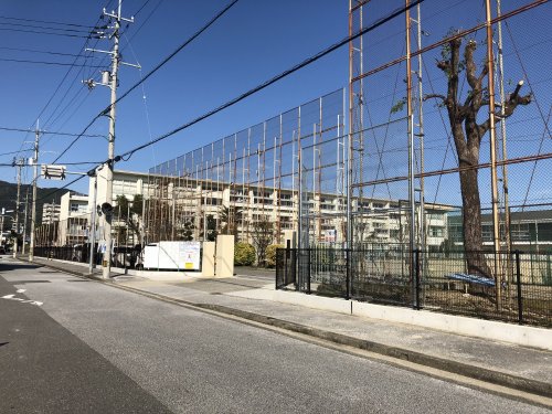 中学校　愛宕中学校（中学校）まで508m