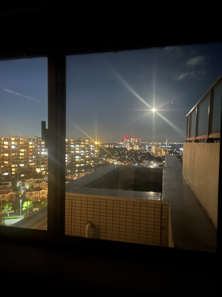 眺望　現況有姿です。