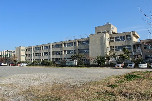 小学校　浜崎小学校（小学校）まで800m