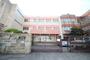 小学校　名古屋市立白金小学校（小学校）まで442m