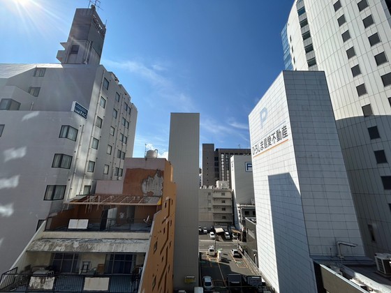 眺望　※別号室の写真です