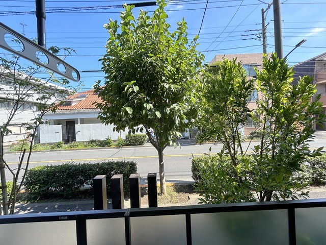 眺望