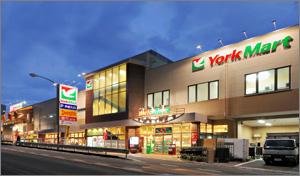 スーパー　ヨークマート 妙蓮寺店（スーパー）まで1119m