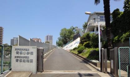 小学校　文京区立青柳小学校（小学校）まで120m