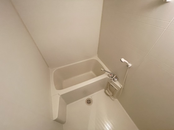 バス・シャワールーム　※別部屋の写真です
