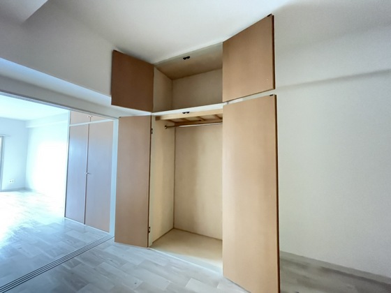収納　※別部屋の写真です
