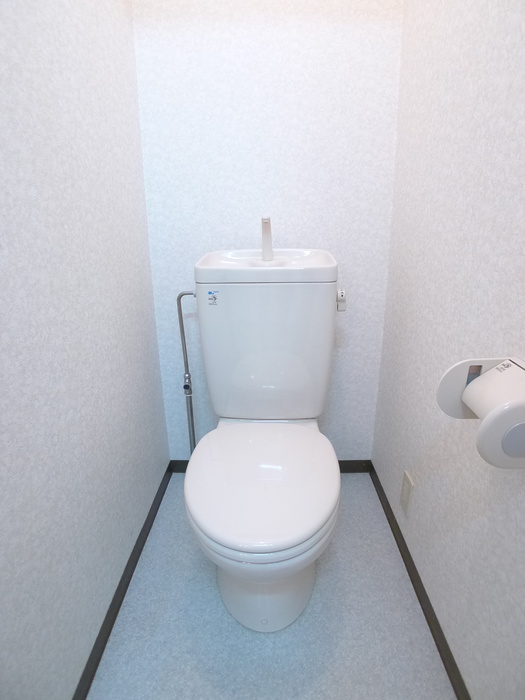 プラゼールのトイレ写真