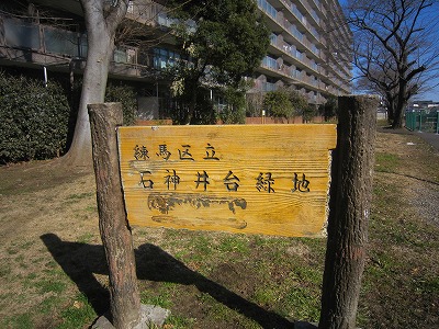 公園　石神井台緑地（公園）まで1243m