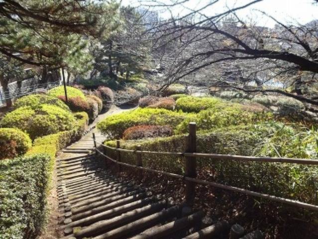 【コーラル沼袋の公園】