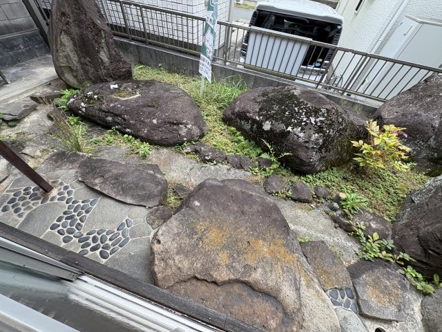 庭