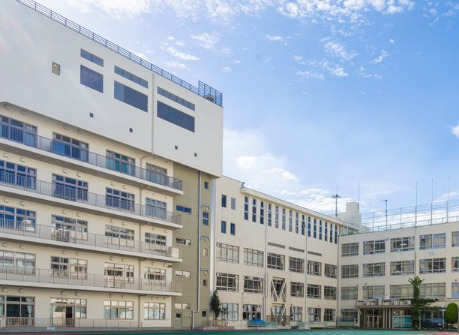 小学校　中央区立久松小学校（小学校）まで737m